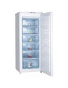 Freezer Vertical